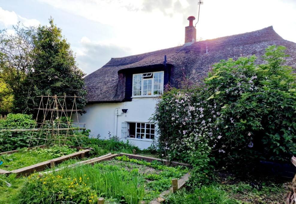Piddle Puddle Cabin Dorchester Exterior foto